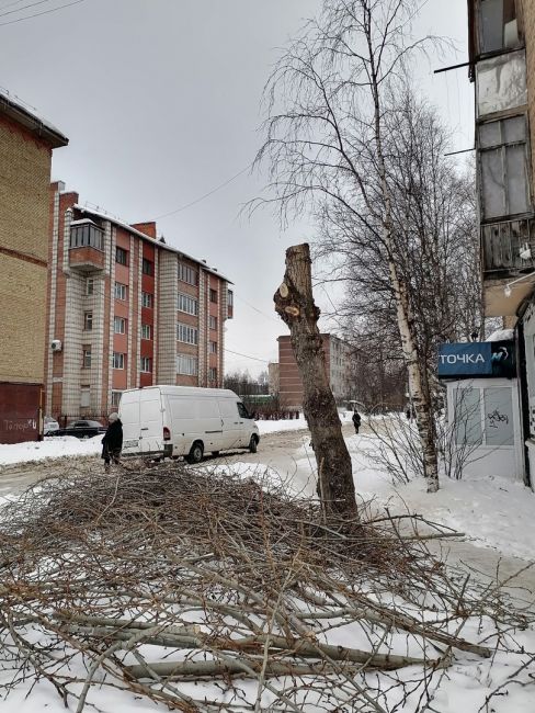 Обращение ухтинки к Администрации МО